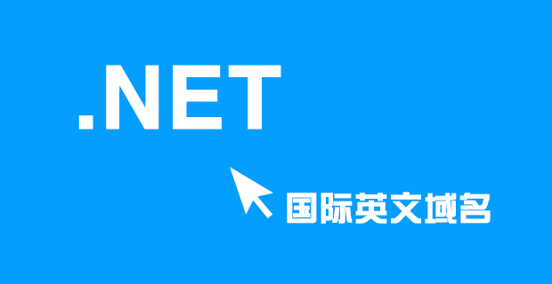 .net国际英文域名