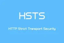 HSTS安全协议配置启用,从HTTP到HTTPS的安全高效转移
