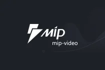 WordPress 改造 mip-video 规范支持兼容 MP4 视频格式