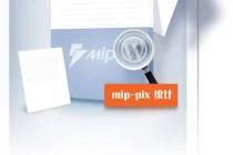 WordPress MIP 站点用 mip-pix 实现文章阅读统计