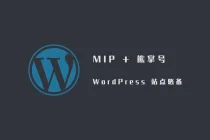 Fanly MIP 主题:WordPress 实现 MIP 改造与熊掌号快速接入 V3.5