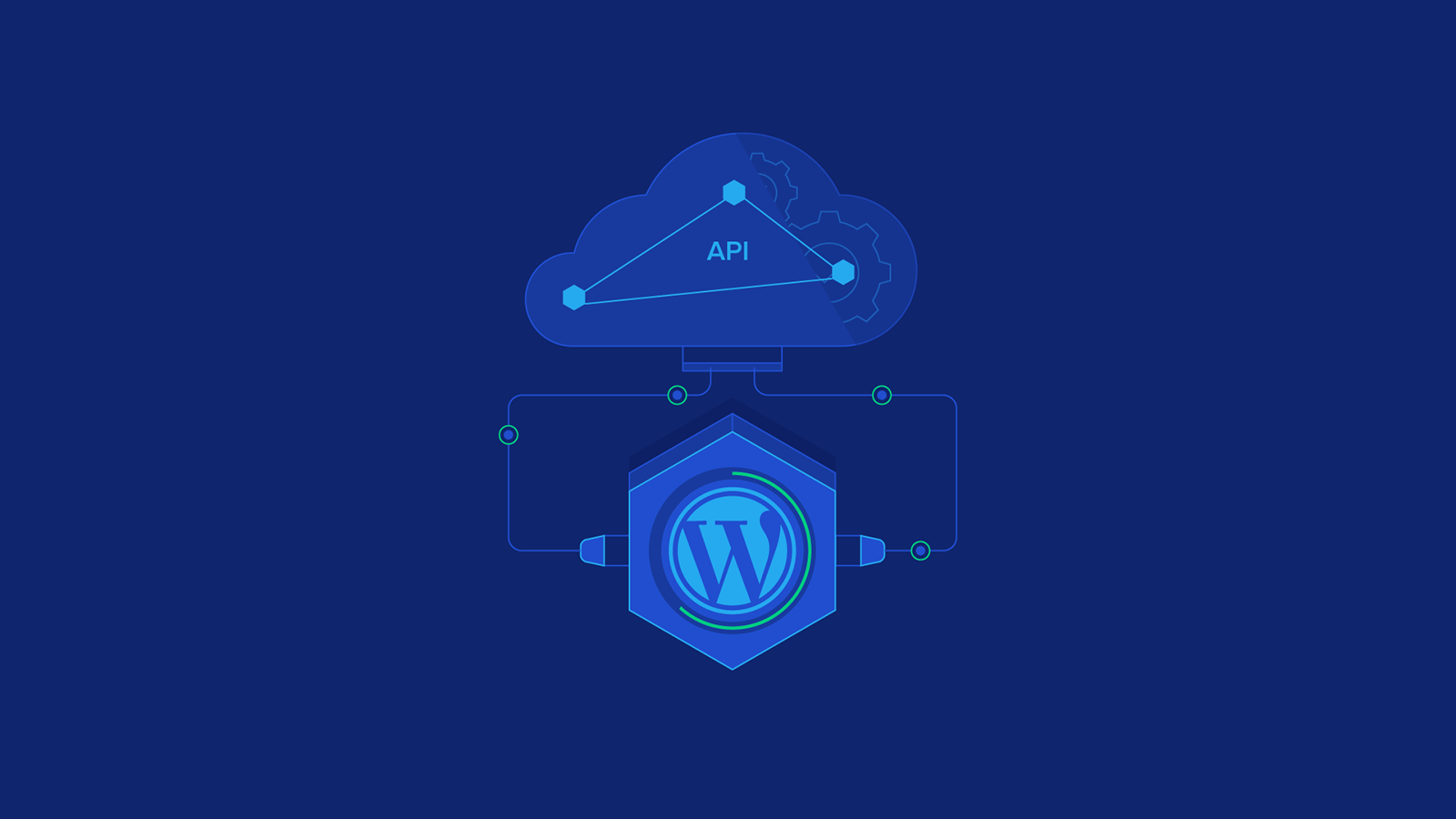 WordPress API