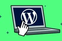 国内用WordPress建站的人多吗