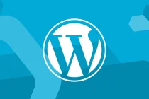 你见过最快的WordPress网站有哪些