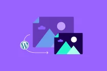 WordPress移除页面源码head中style img:is的样式代码